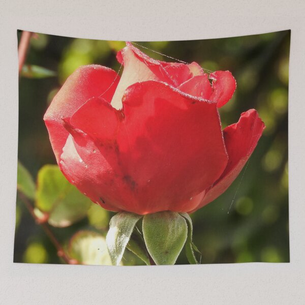 Item preview, WABI SABI designed and sold by lovinglight.