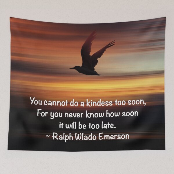 Item preview, No Kindness Too Soon designed and sold by Emilyromrell.