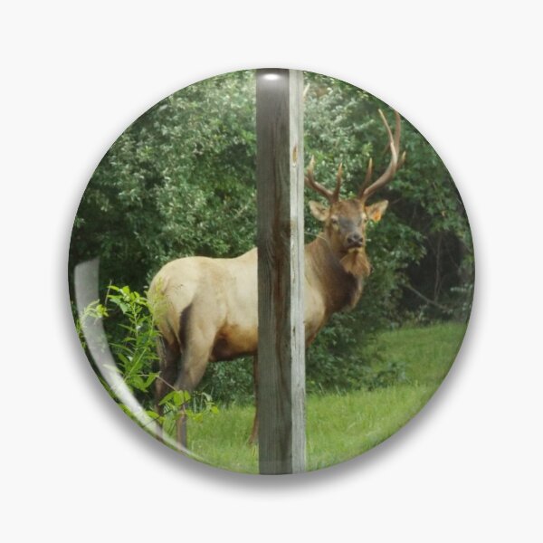 Item preview, Elk plays Peek-a-Boo designed and sold by Floe1101.
