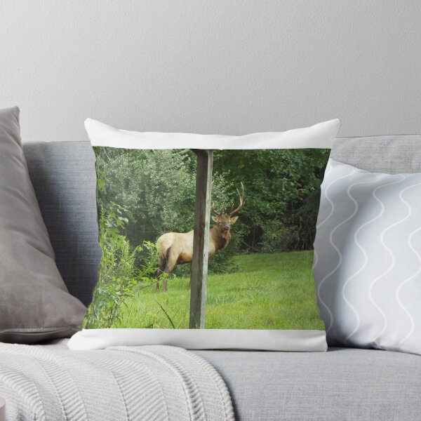 Item preview, Elk plays Peek-a-Boo designed and sold by Floe1101.
