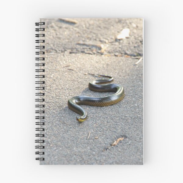 Item preview, Striped Swampsnake designed and sold by InhumanImaging.