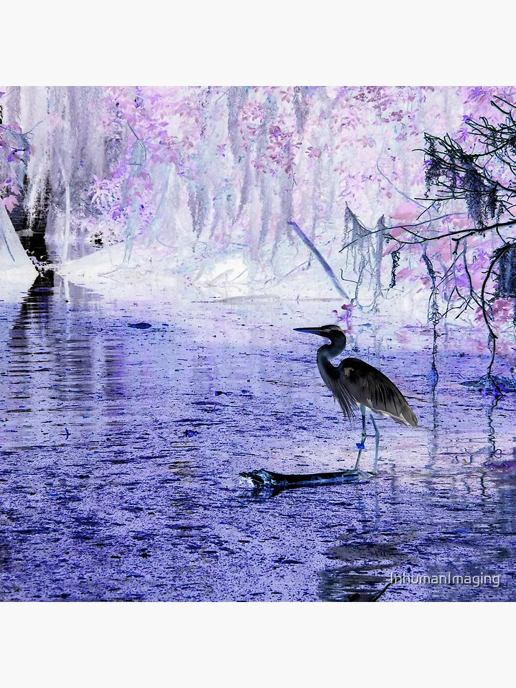 Thumbnail 4 of 4, Clock, Violet Waters designed and sold by InhumanImaging.