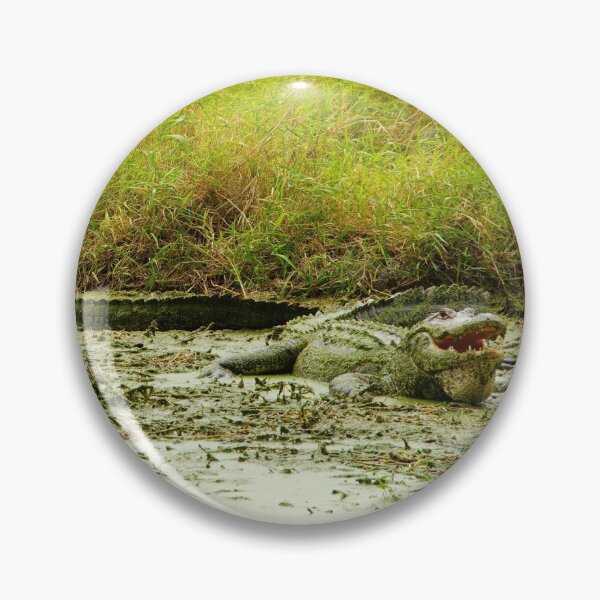 Item preview, Alligator Alley designed and sold by InhumanImaging.