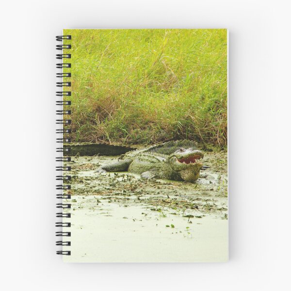 Item preview, Alligator Alley designed and sold by InhumanImaging.