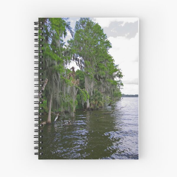 Item preview, Lake Hancock designed and sold by InhumanImaging.