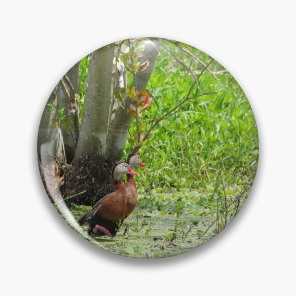 Item preview, Black-Bellied Whistling Ducks designed and sold by InhumanImaging.