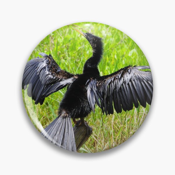 Item preview, Anhinga in the Sun designed and sold by InhumanImaging.