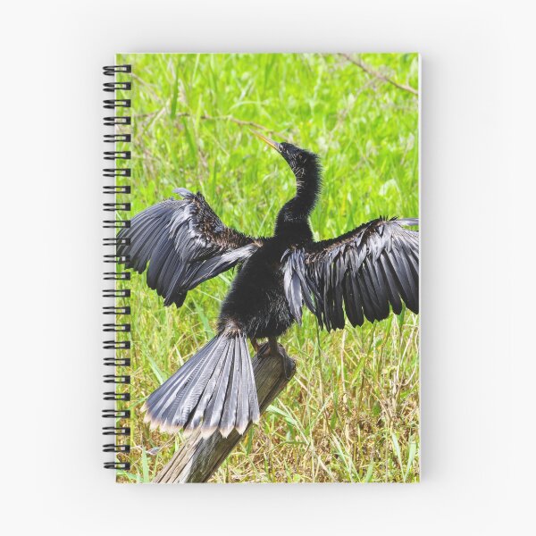 Item preview, Anhinga in the Sun designed and sold by InhumanImaging.