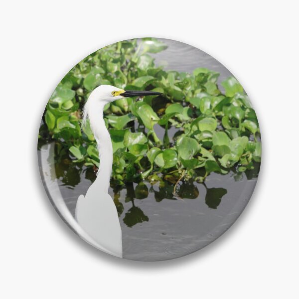 Item preview, Snowy Egret designed and sold by InhumanImaging.