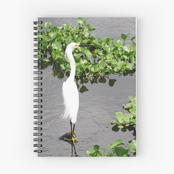 Item preview, Snowy Egret designed and sold by InhumanImaging.