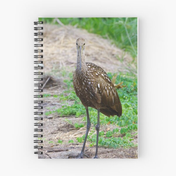 Item preview, Evil Limpkin designed and sold by InhumanImaging.