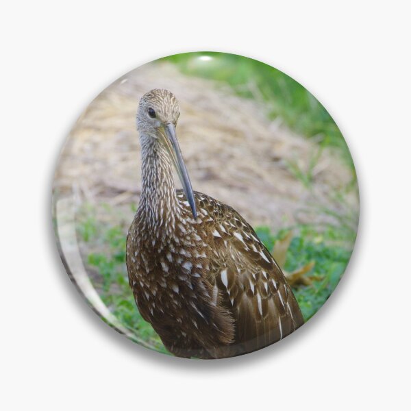 Item preview, Friendly Limpkin designed and sold by InhumanImaging.