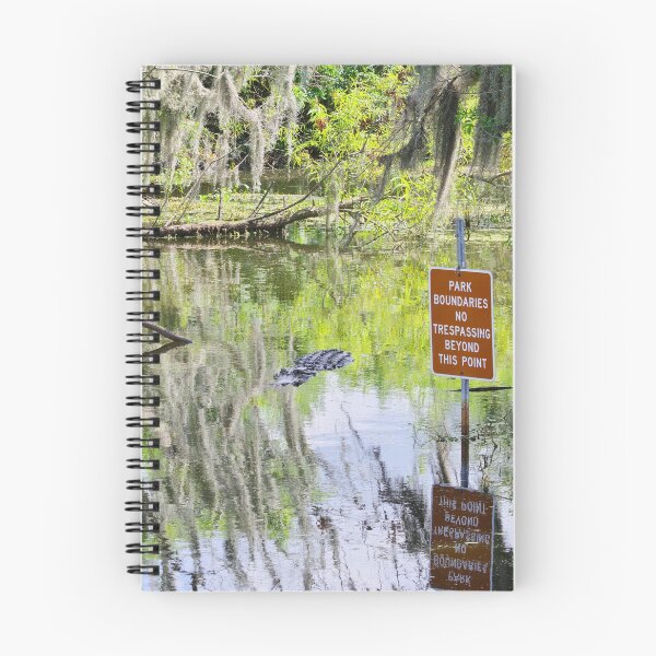 Item preview, No Trespassing designed and sold by InhumanImaging.