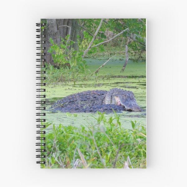 Item preview, Lockjaw designed and sold by InhumanImaging.