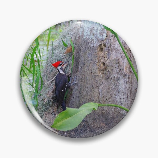 Item preview, Pileated Woodpecker designed and sold by InhumanImaging.