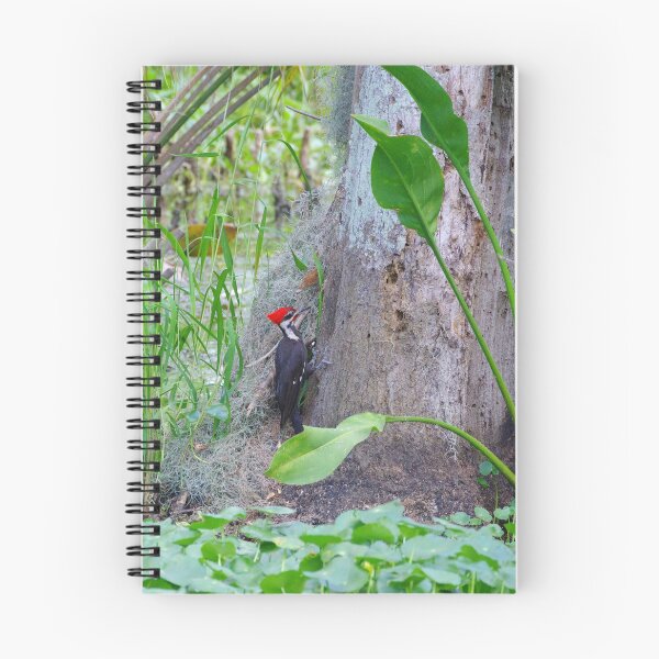 Item preview, Pileated Woodpecker designed and sold by InhumanImaging.