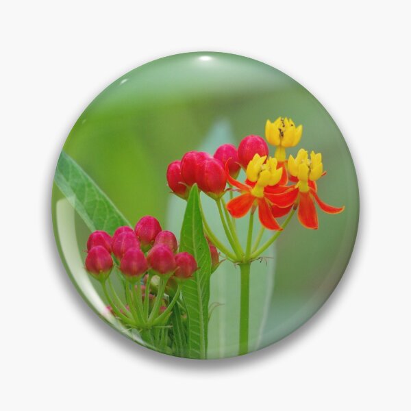 Item preview, Red Columbine designed and sold by InhumanImaging.