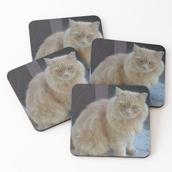 Item preview, Random Cat designed and sold by ValeriePhotos.