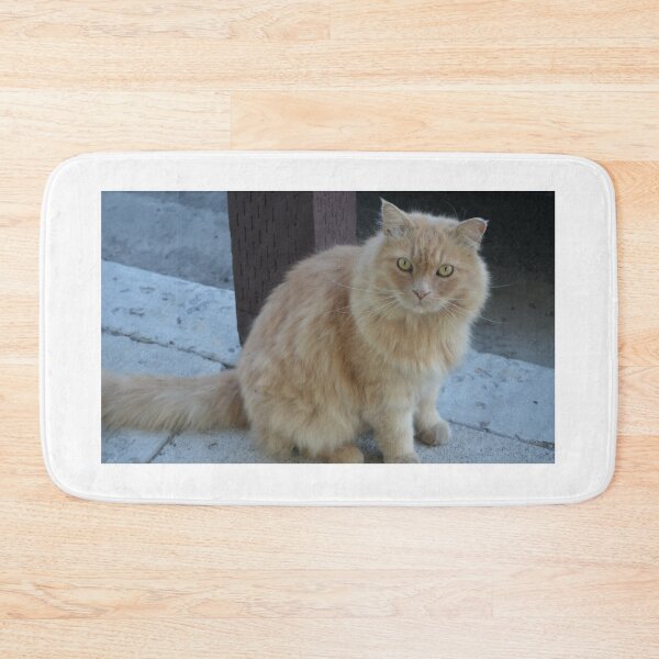 Item preview, Random Cat designed and sold by ValeriePhotos.
