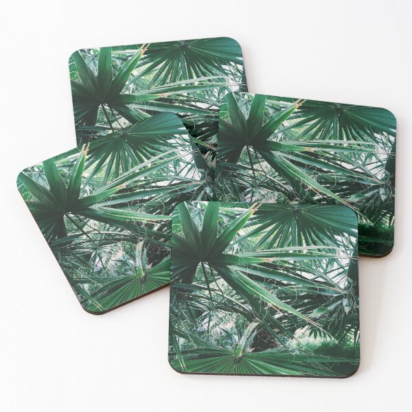 Item preview, Palms designed and sold by AB-Photophaphy.