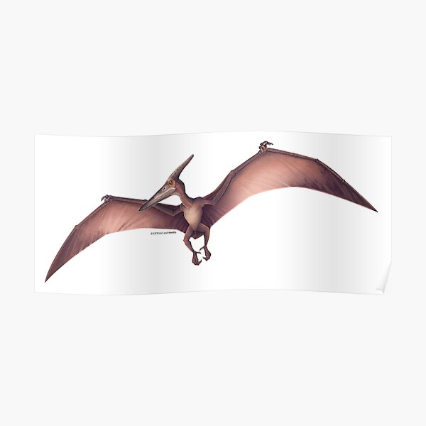 Jurassic Park III Pteranodon Jurassic Park III Pteranodon