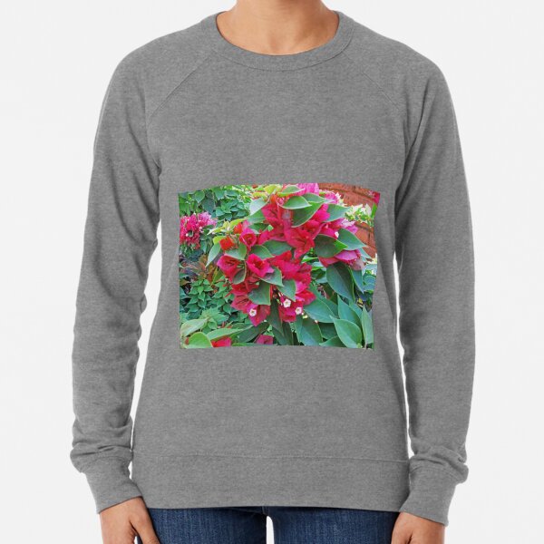 A section of pink Bougainvillea flowers Lightweight Sweatshirt