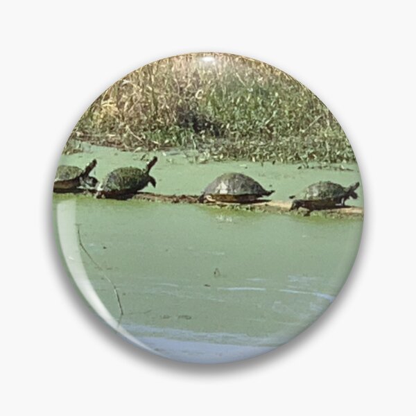 Item preview, Turtles sun bathing designed and sold by DawnLcreations.