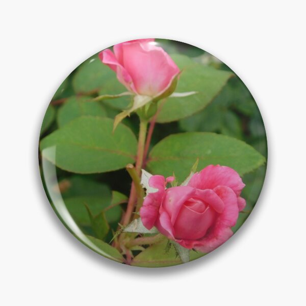 Item preview, Blooming designed and sold by Izayo-Darke1.