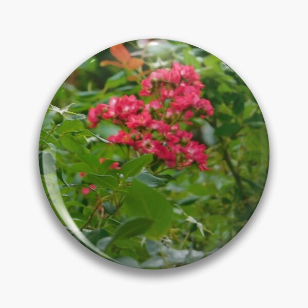 Item preview, Rosehips designed and sold by Izayo-Darke1.