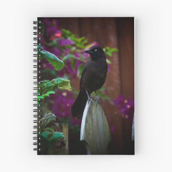 Item preview, black grackle bird perched on fence designed and sold by Stephen Orsillo.