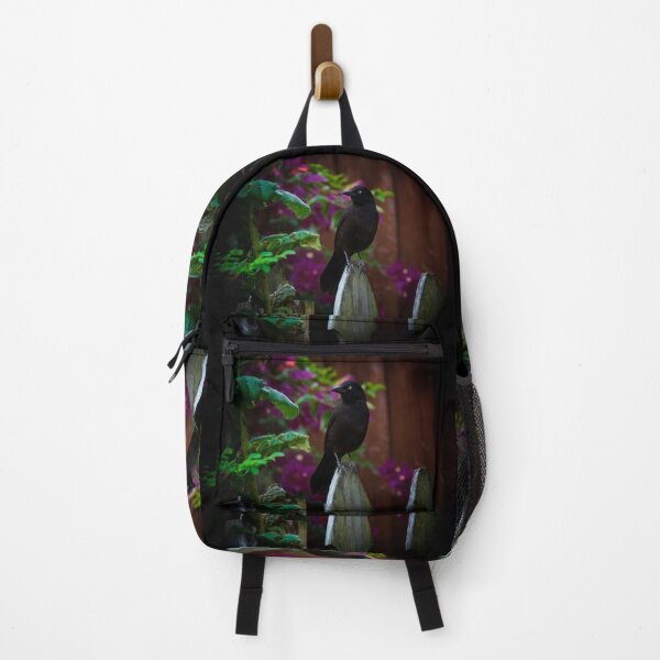 Item preview, black grackle bird perched on fence designed and sold by Stephen Orsillo.