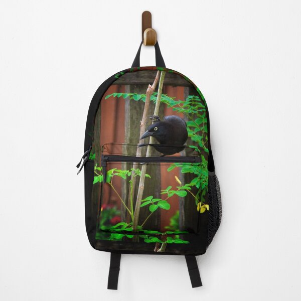 Item preview, black grackle bird perched on trunk of moringa tree designed and sold by Stephen Orsillo.