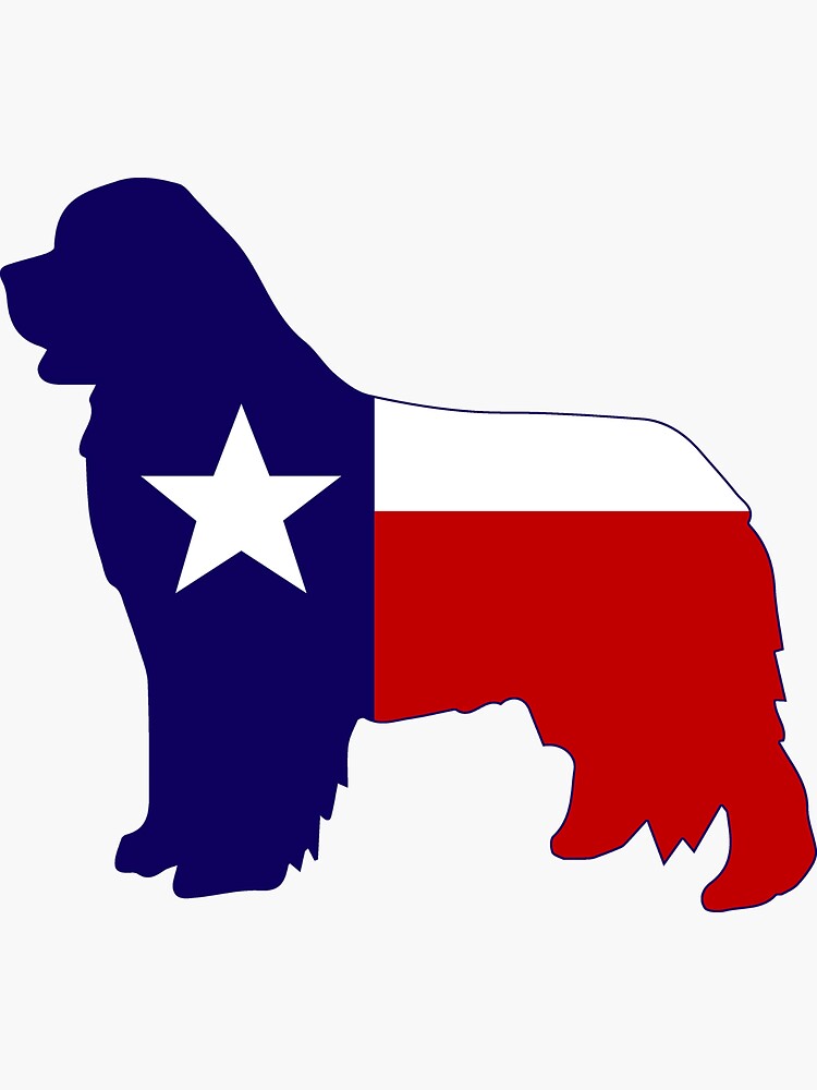 Texas Newf by itsmechris