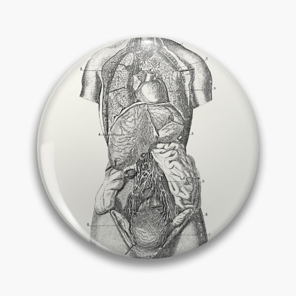 Item preview, Human Torso Exposed (white) designed and sold by Robert Ropars.