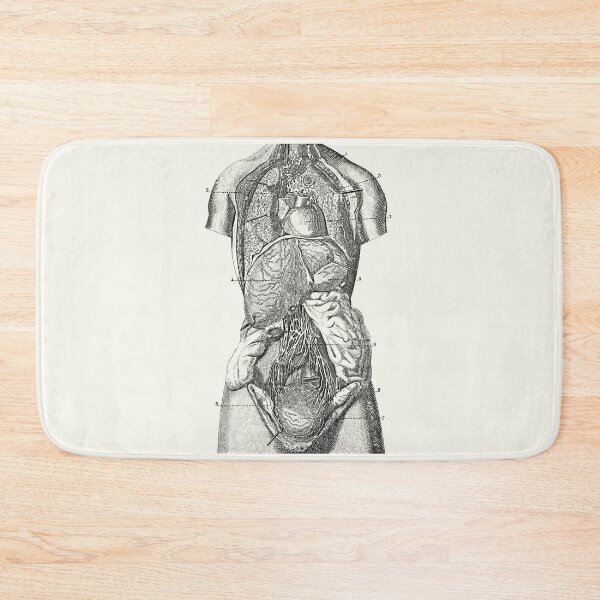 Item preview, Human Torso Exposed (white) designed and sold by Robert Ropars.
