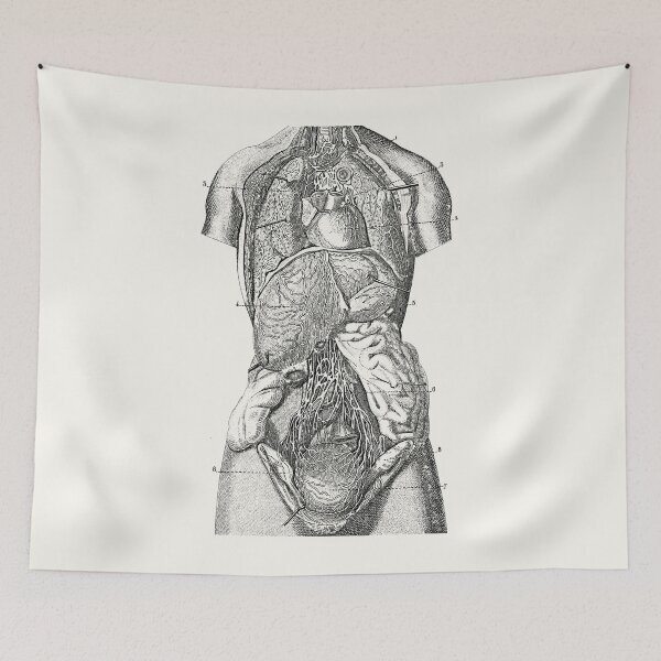 Item preview, Human Torso Exposed (white) designed and sold by Robert Ropars.