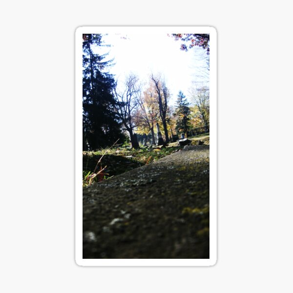 Item preview, Immersive Emptiness, Eerie Perspective Photography by Courtney Hatcher designed and sold by cghatcherart.