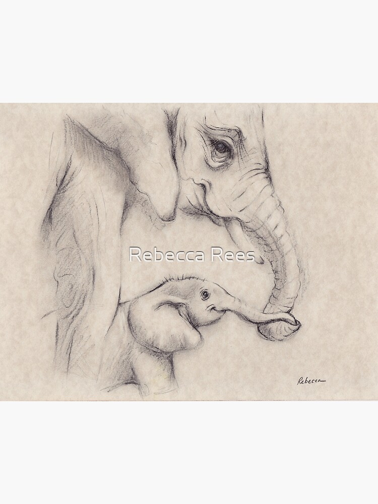 Elephant New Baby Card - Ava & Ayla – Catherine Rayner