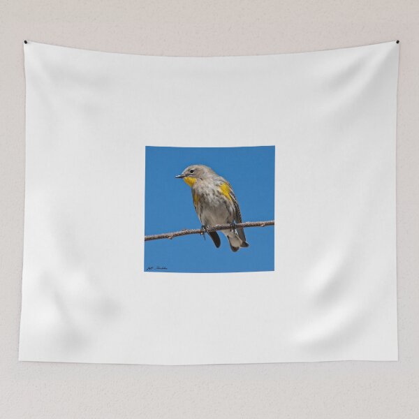 Item preview, Yellow-Rumped Warbler designed and sold by Jeff Goulden Photography.