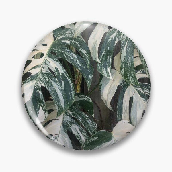 Item preview, Variegated Monstera Albo Borsigiana Leaves designed and sold by IMPHives.