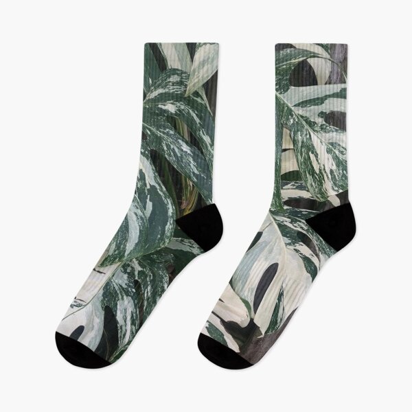 Item preview, Variegated Monstera Albo Borsigiana Leaves designed and sold by IMPHives.