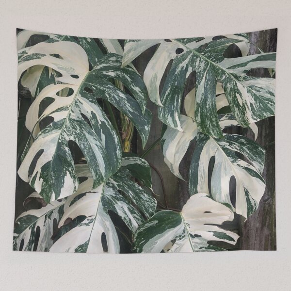 Item preview, Variegated Monstera Albo Borsigiana Leaves designed and sold by IMPHives.