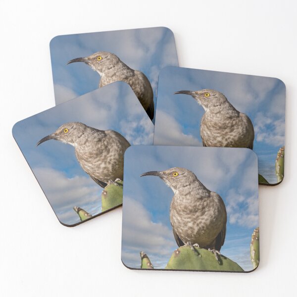 Item preview, Curve-Billed Thrasher on a Prickly Pear Cactus designed and sold by Jeff Goulden Photography.