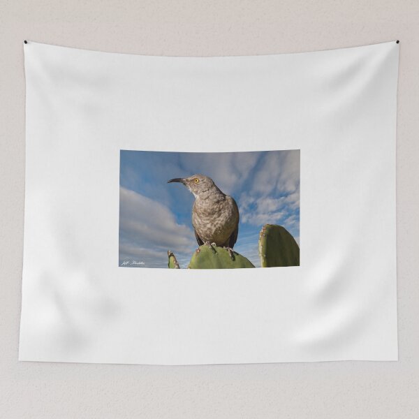 Item preview, Curve-Billed Thrasher on a Prickly Pear Cactus designed and sold by Jeff Goulden Photography.