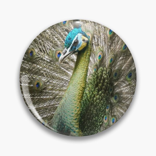 Item preview, Peacock  designed and sold by CLICKCLACKS.