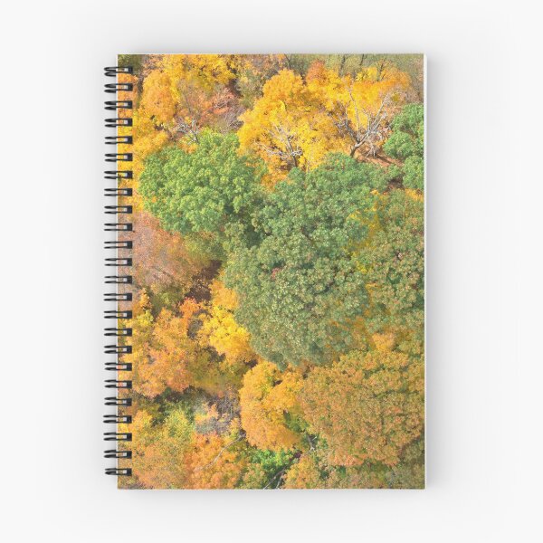 Item preview, Fall About Us designed and sold by BirdsEyeViewing.
