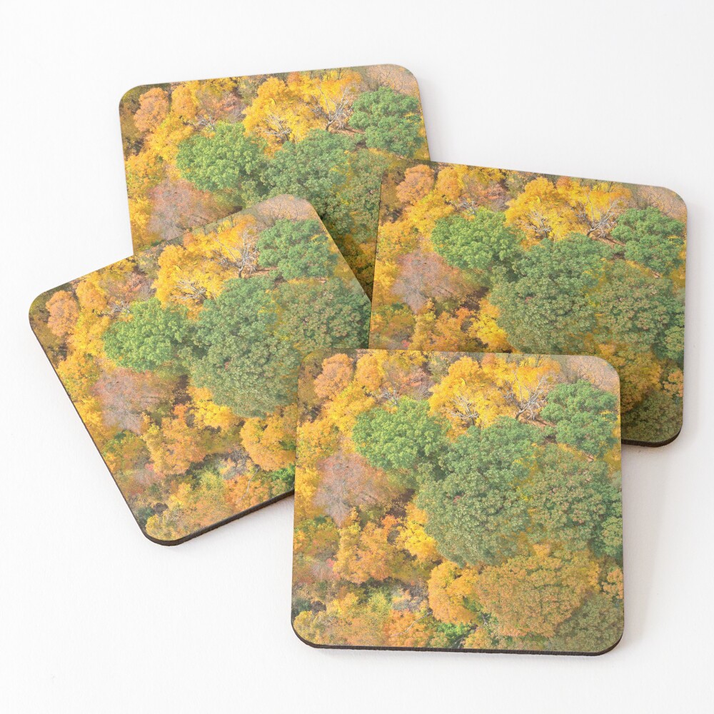 Item preview, Coasters (Set of 4) designed and sold by BirdsEyeViewing.