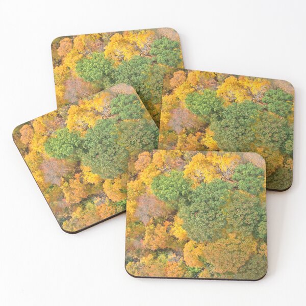 Item preview, Fall About Us designed and sold by BirdsEyeViewing.