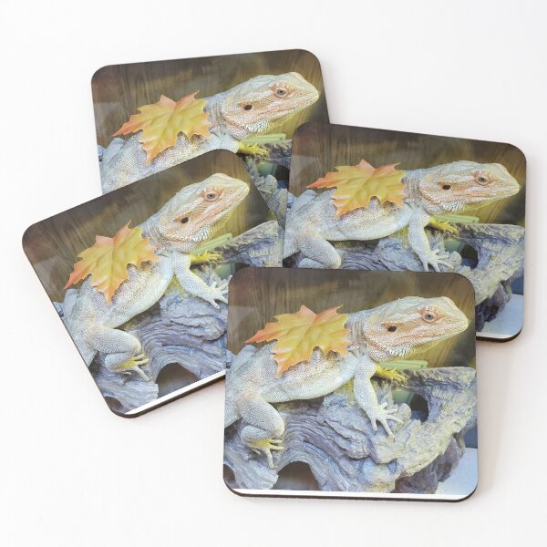 Item preview, Dragon Fall designed and sold by Floe1101.