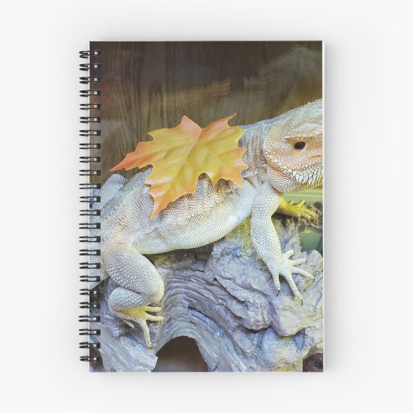 Item preview, Dragon Fall designed and sold by Floe1101.